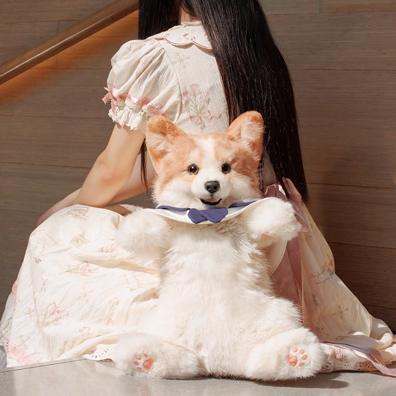 Chongker 50cm