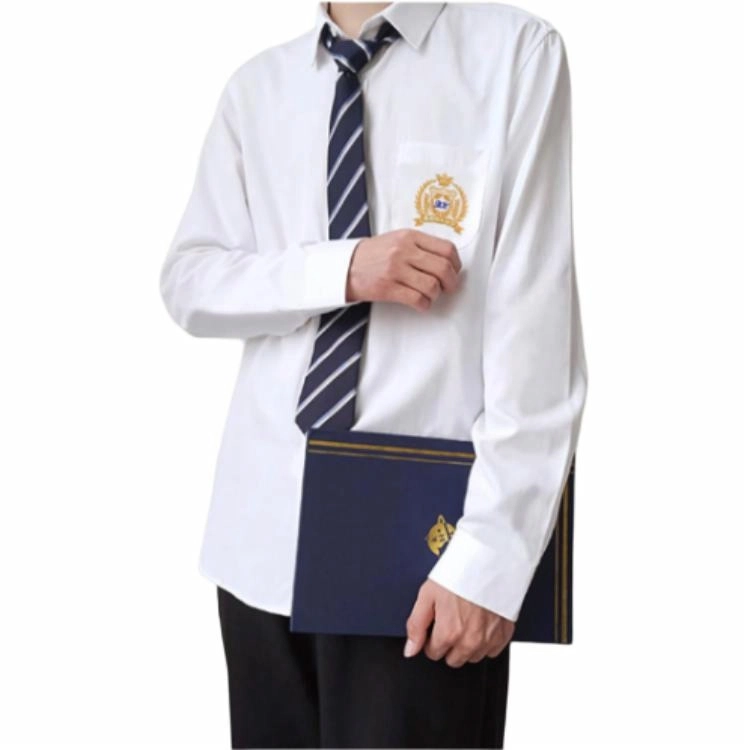 木村叔 原创刺绣衬衣青少年学生校服班服内搭打底衬衣短袖衬衫 男款 星雪崎川白