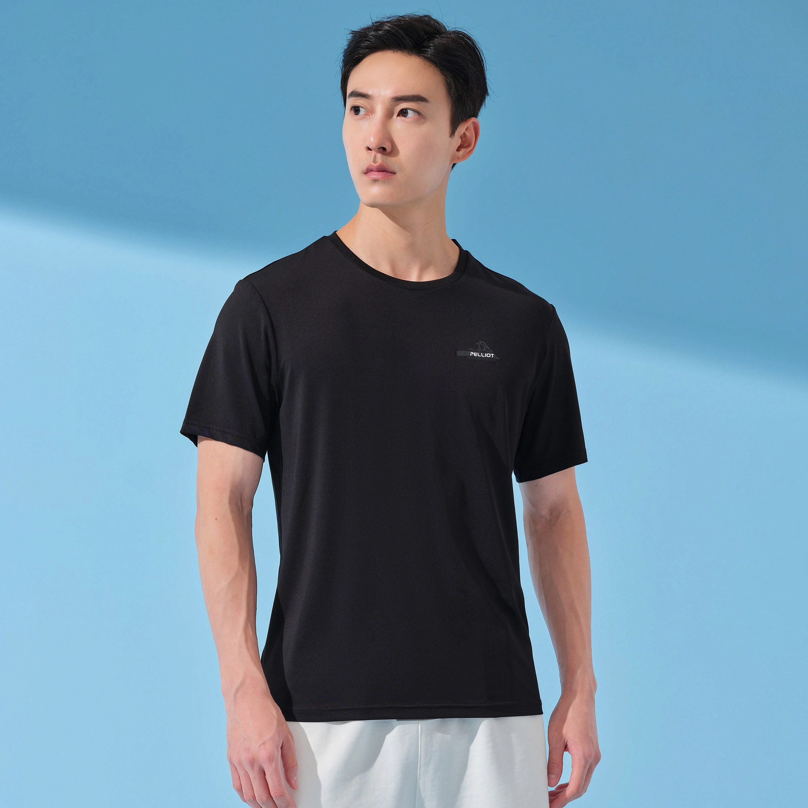 PELLIOT T
