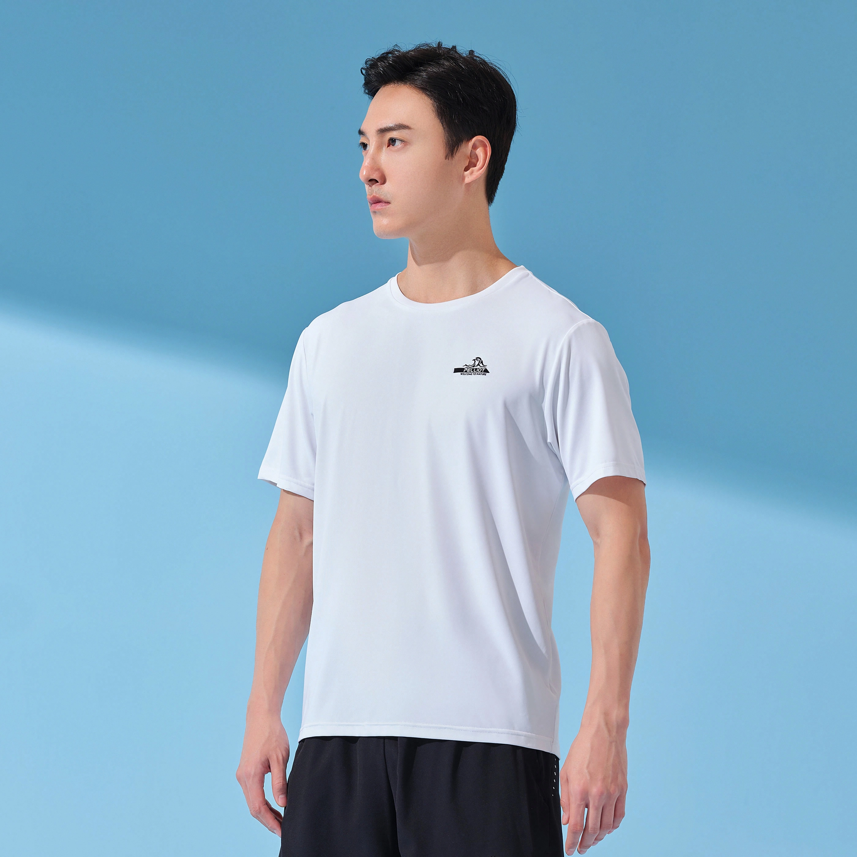PELLIOT T