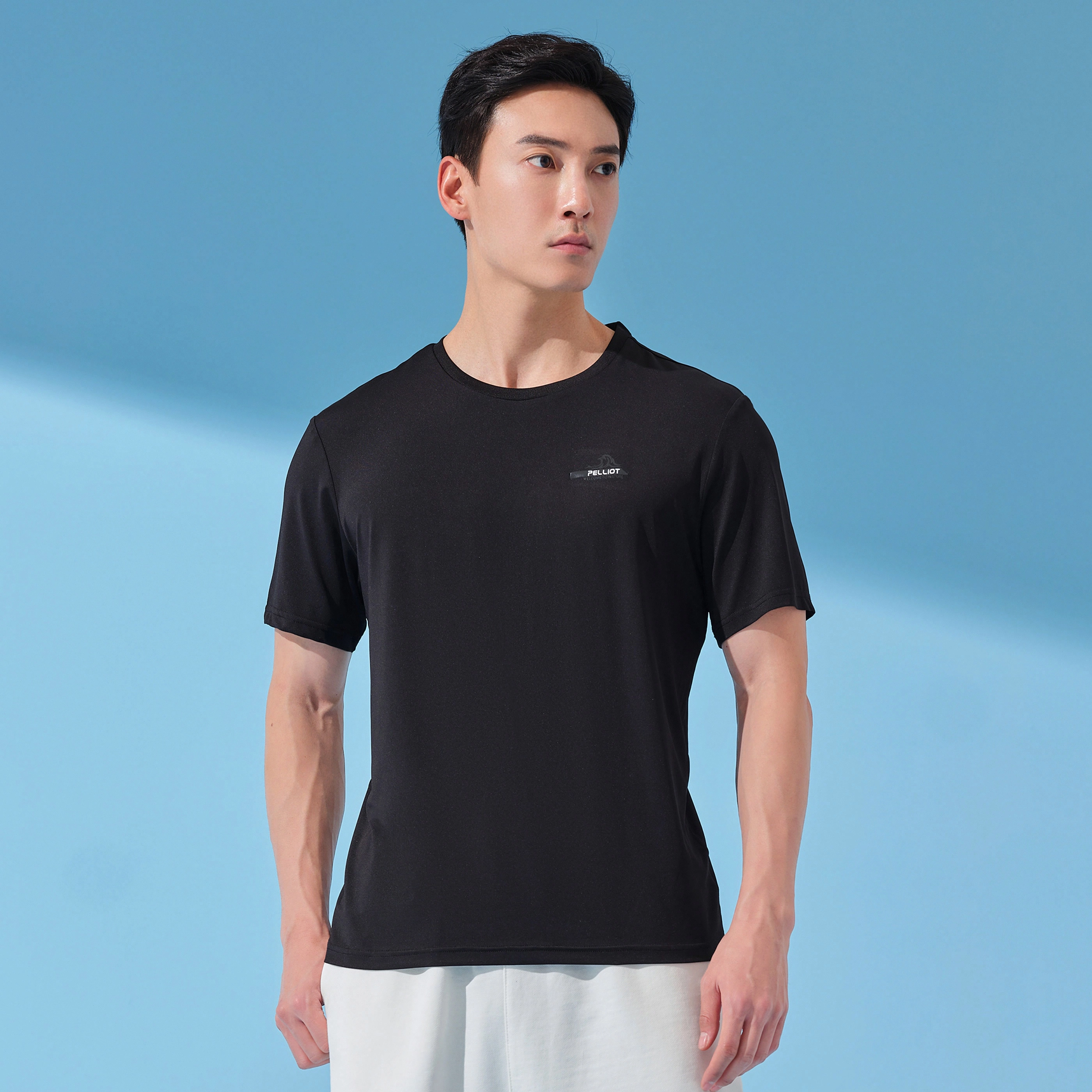 PELLIOT T
