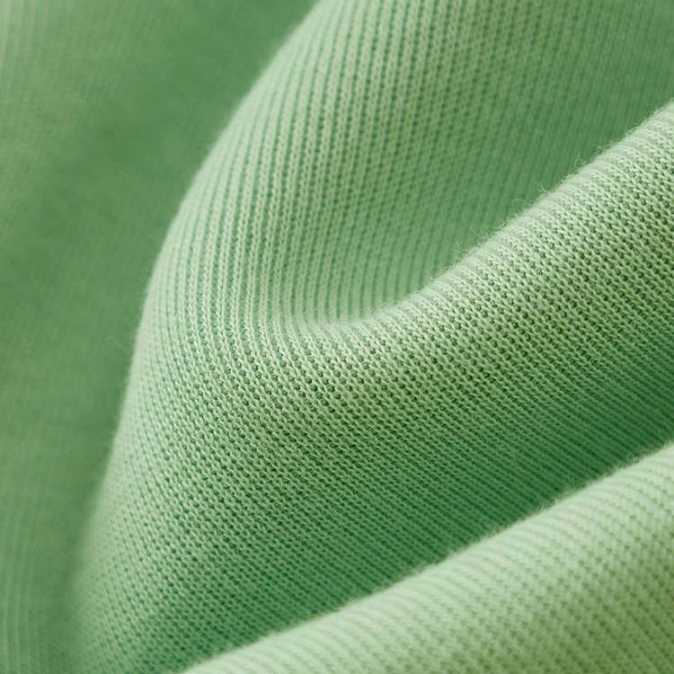 DILLO FW24