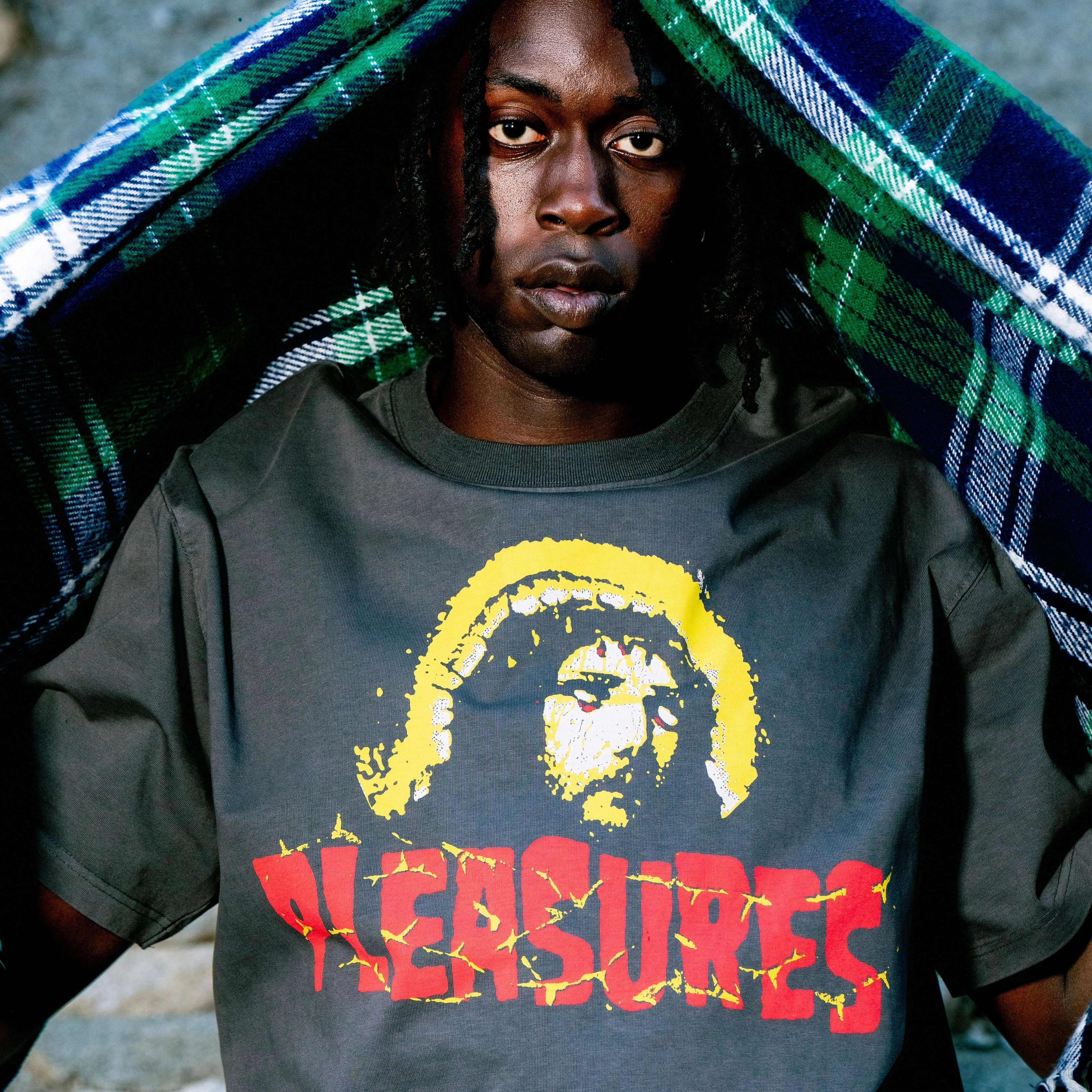 PLEASURES T