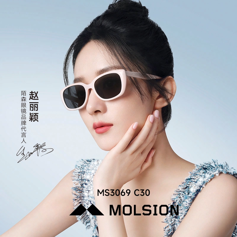 MOLSION