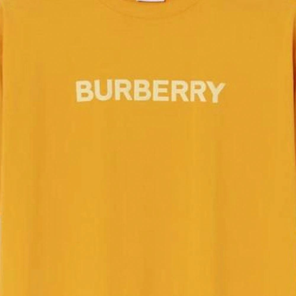 Burberry SS23 LogoT