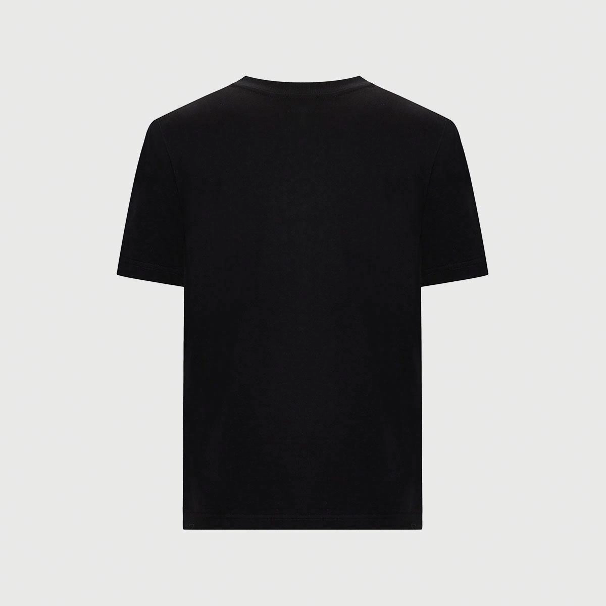 Cavalli Class T