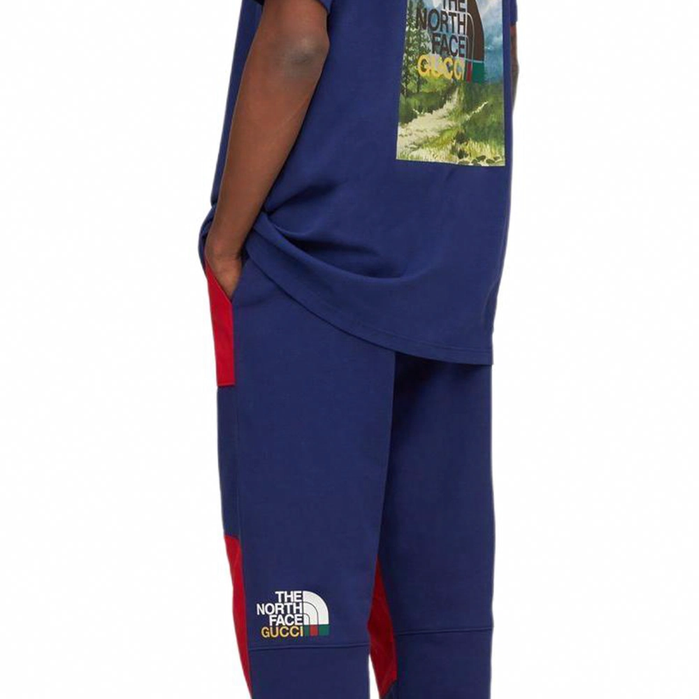 GUCCI x THE NORTH FACE GUCCI x THE NORTH FACE SS22