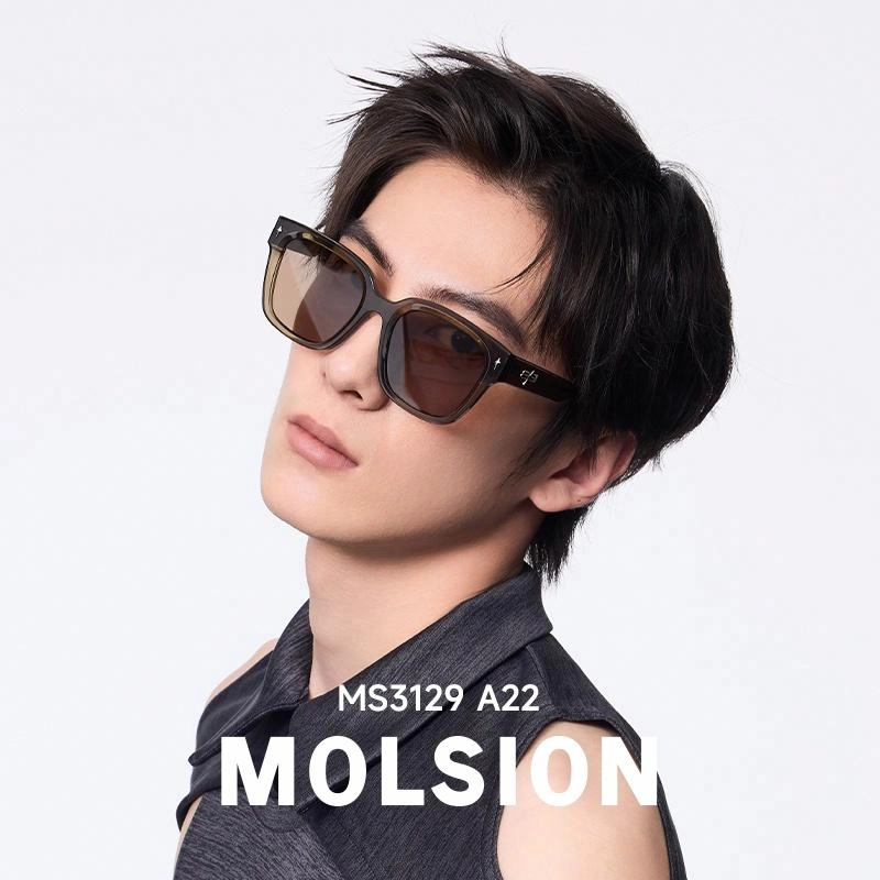 MOLSION