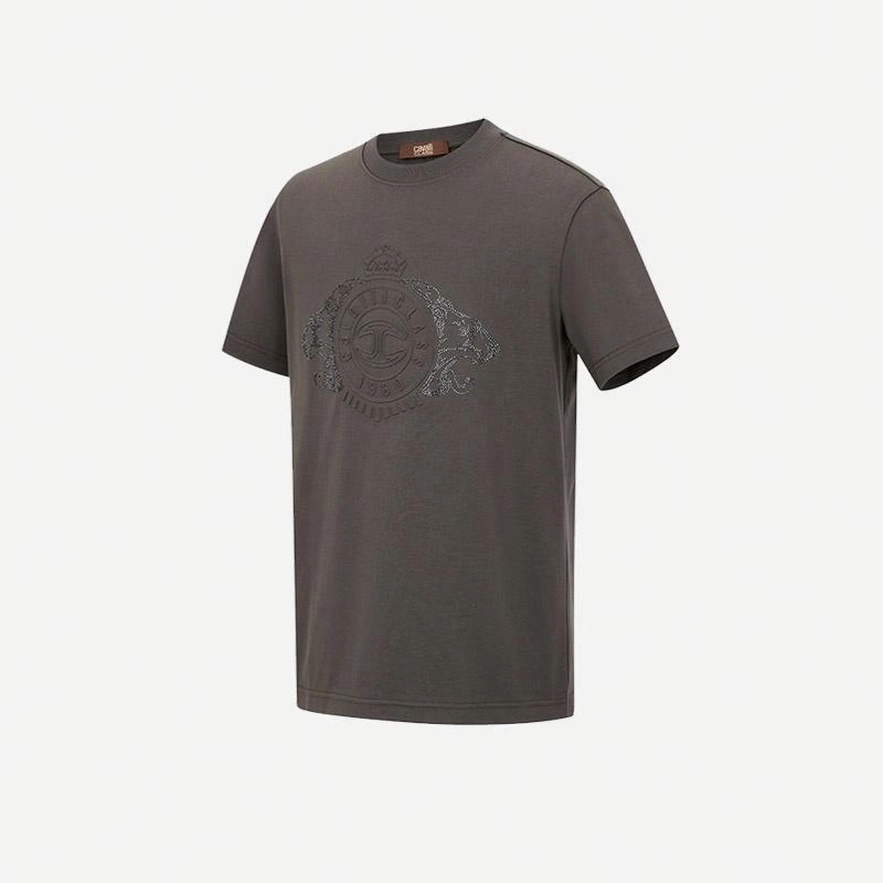 Cavalli Class T