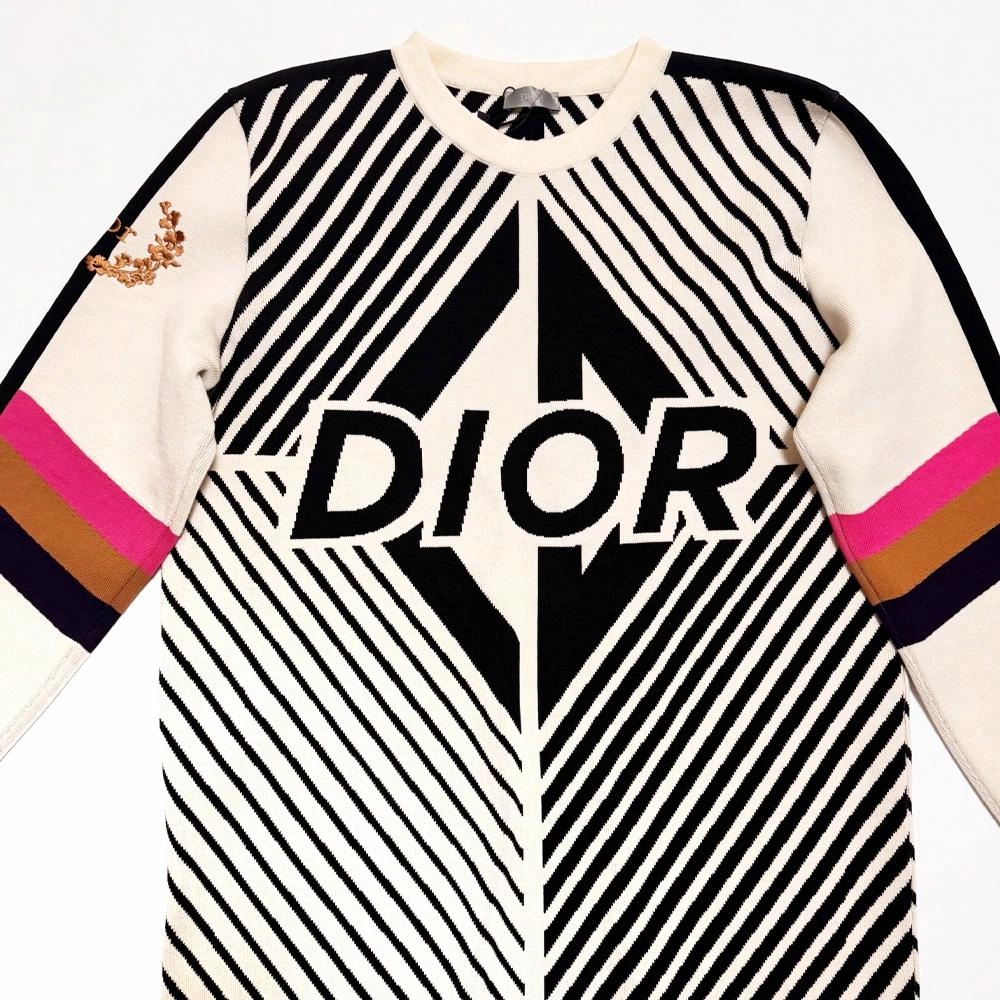 DIOR FW23 Logo