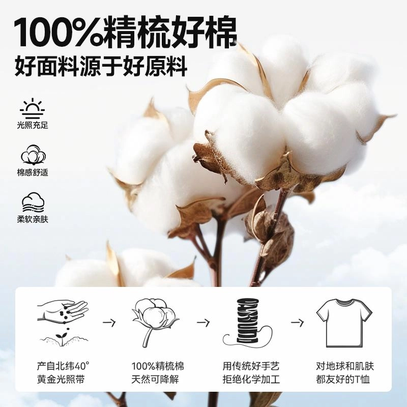MINISO T