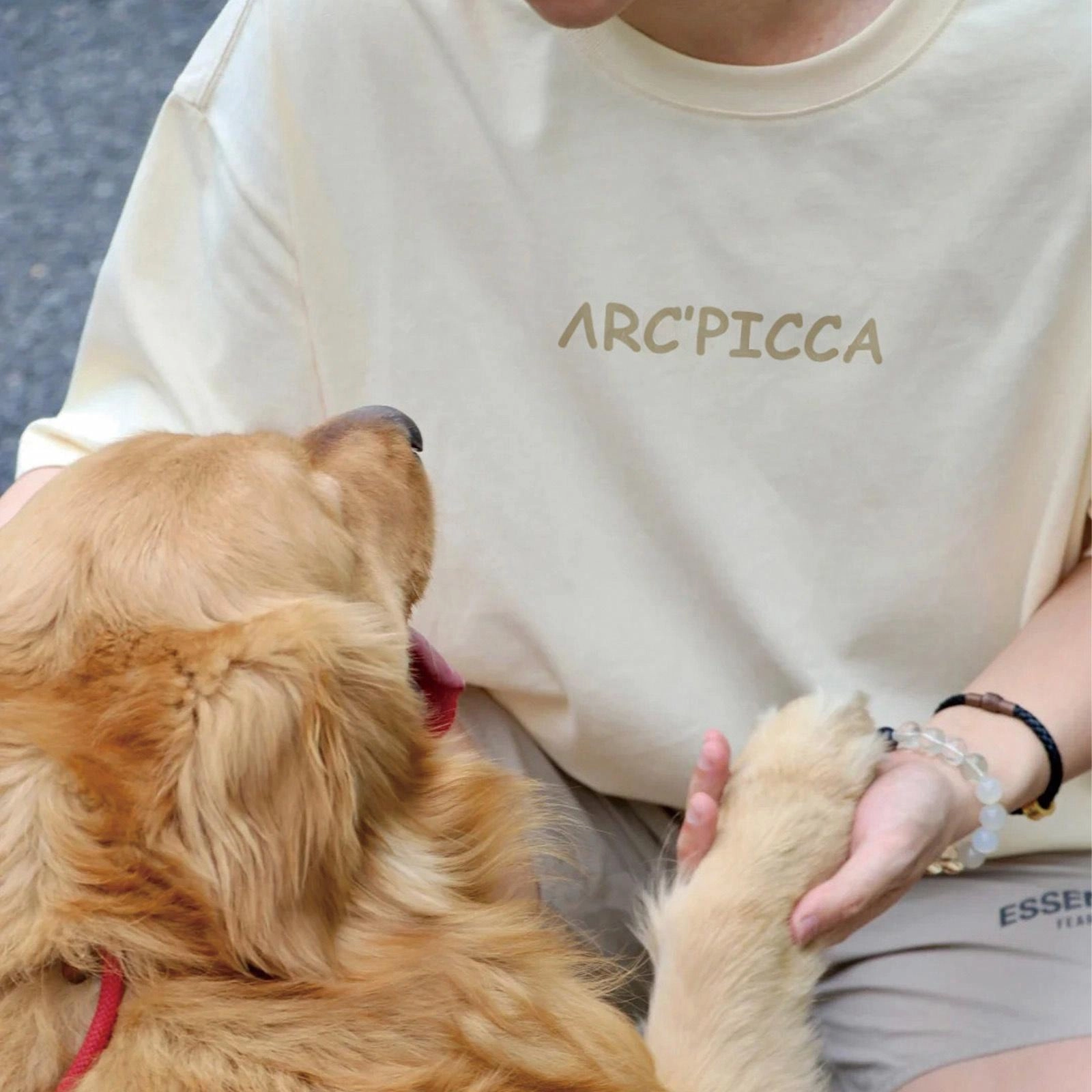 Picca T