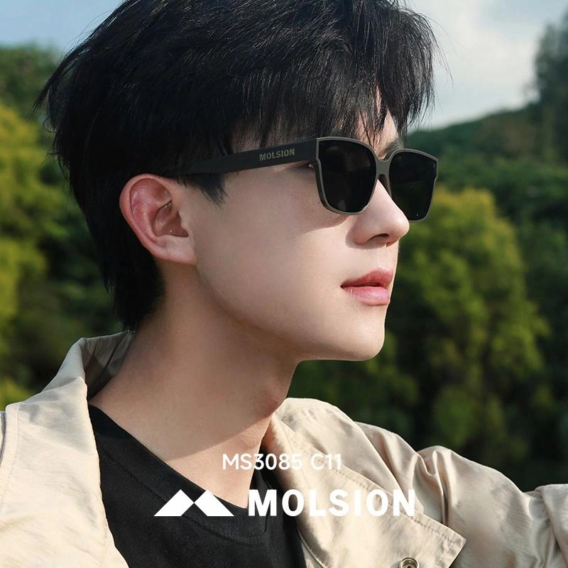 MOLSION