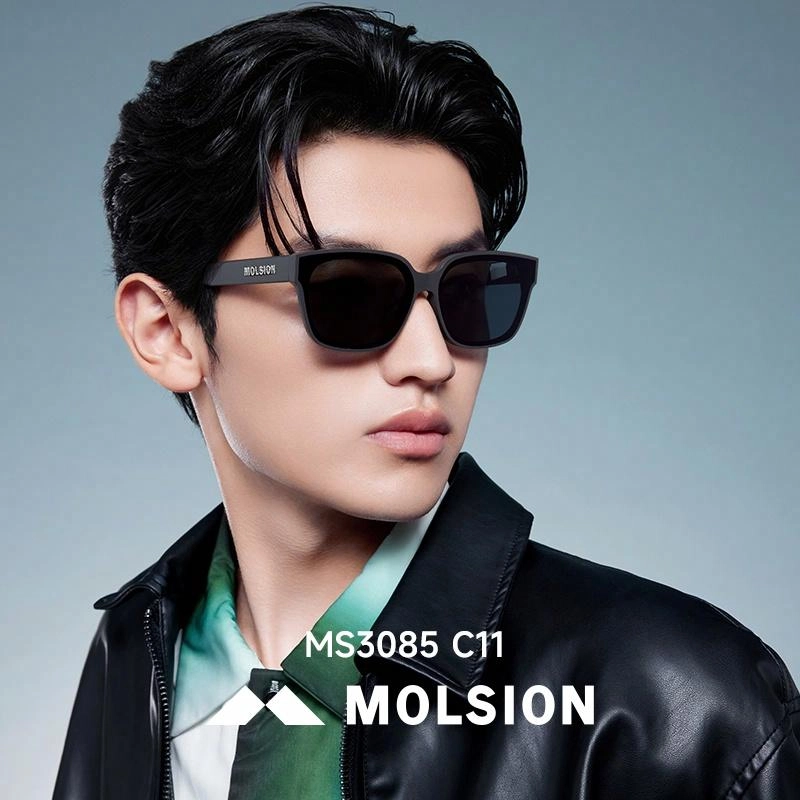 MOLSION