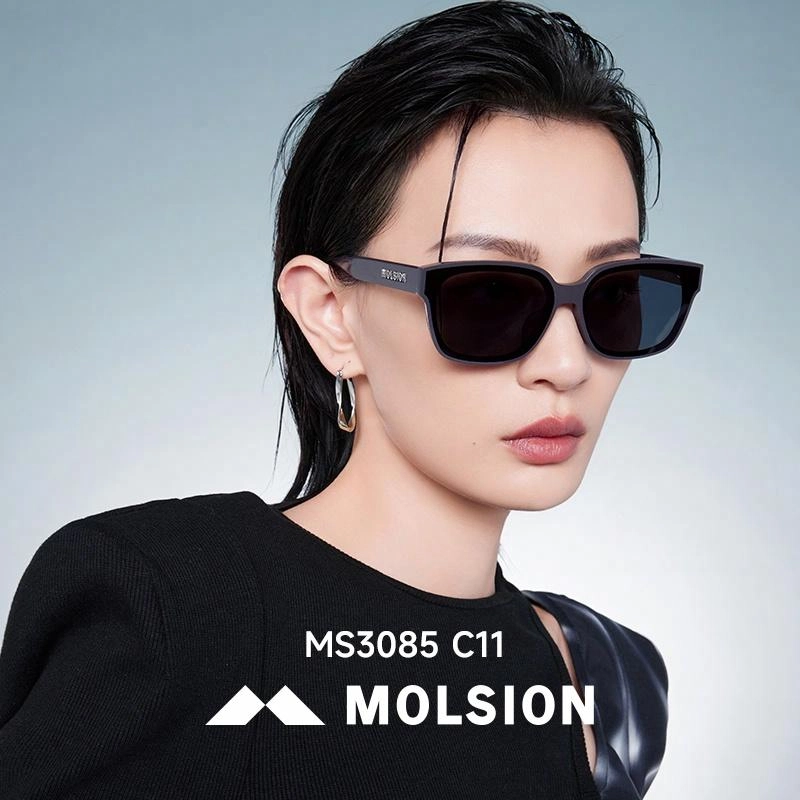 MOLSION