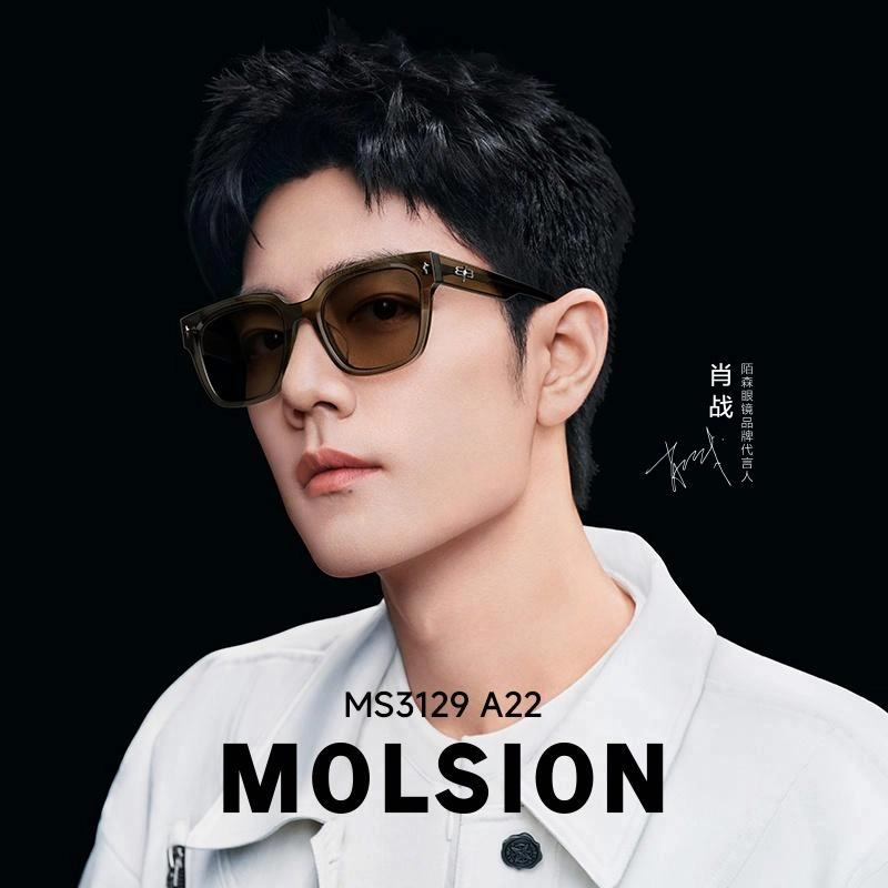 MOLSION