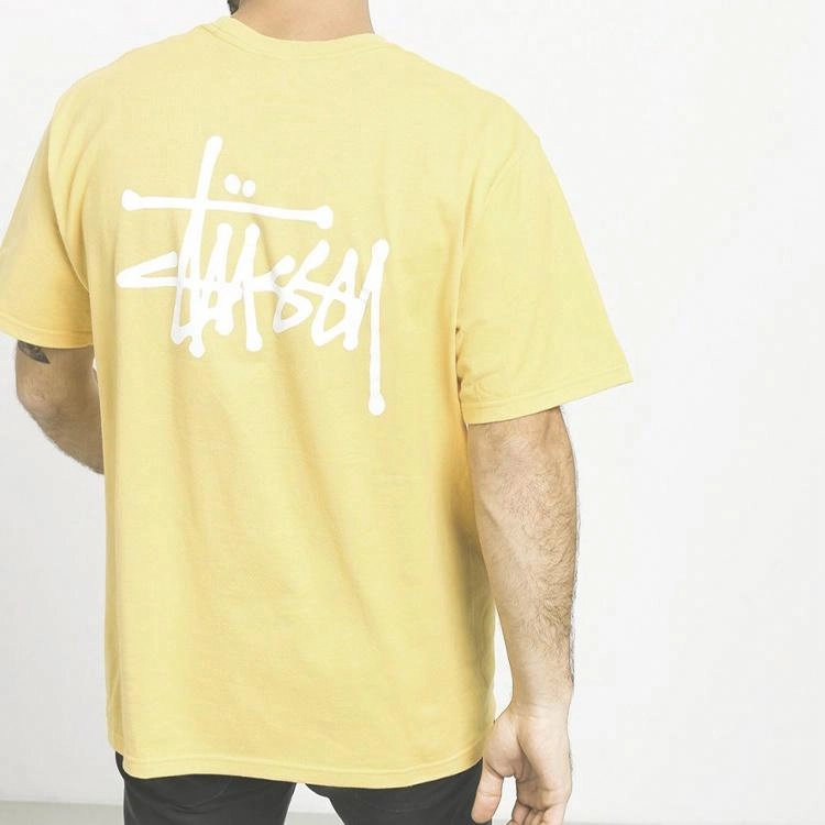 Stussy Basic Tee logoT