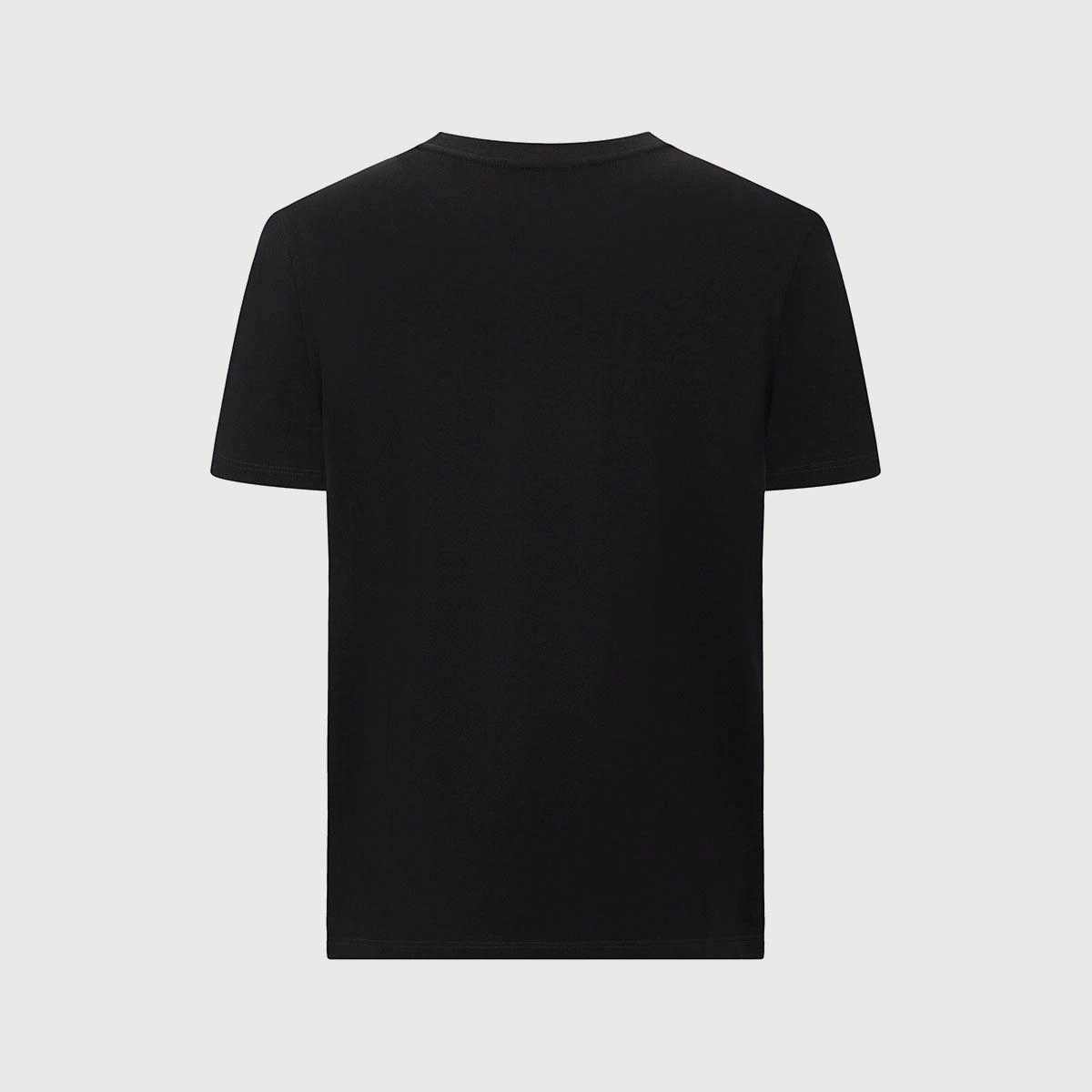 Cavalli Class T
