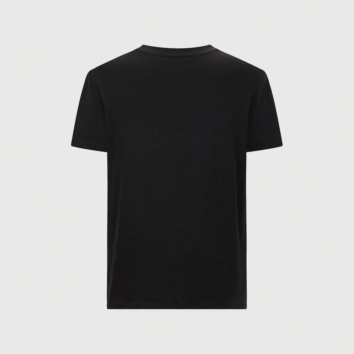 Cavalli Class T