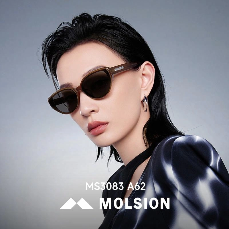 MOLSION