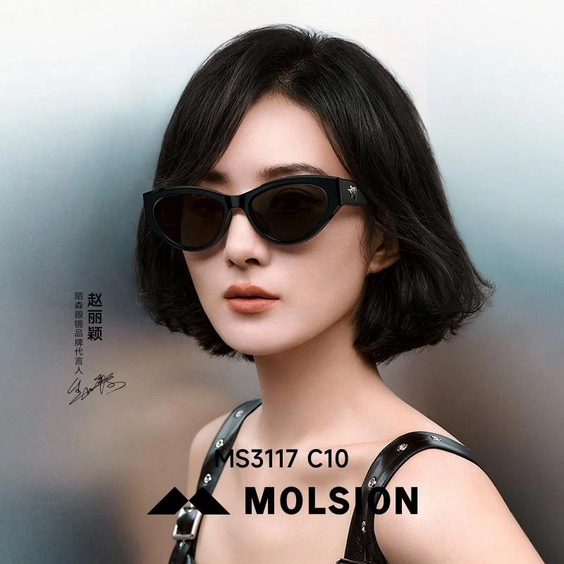 MOLSION