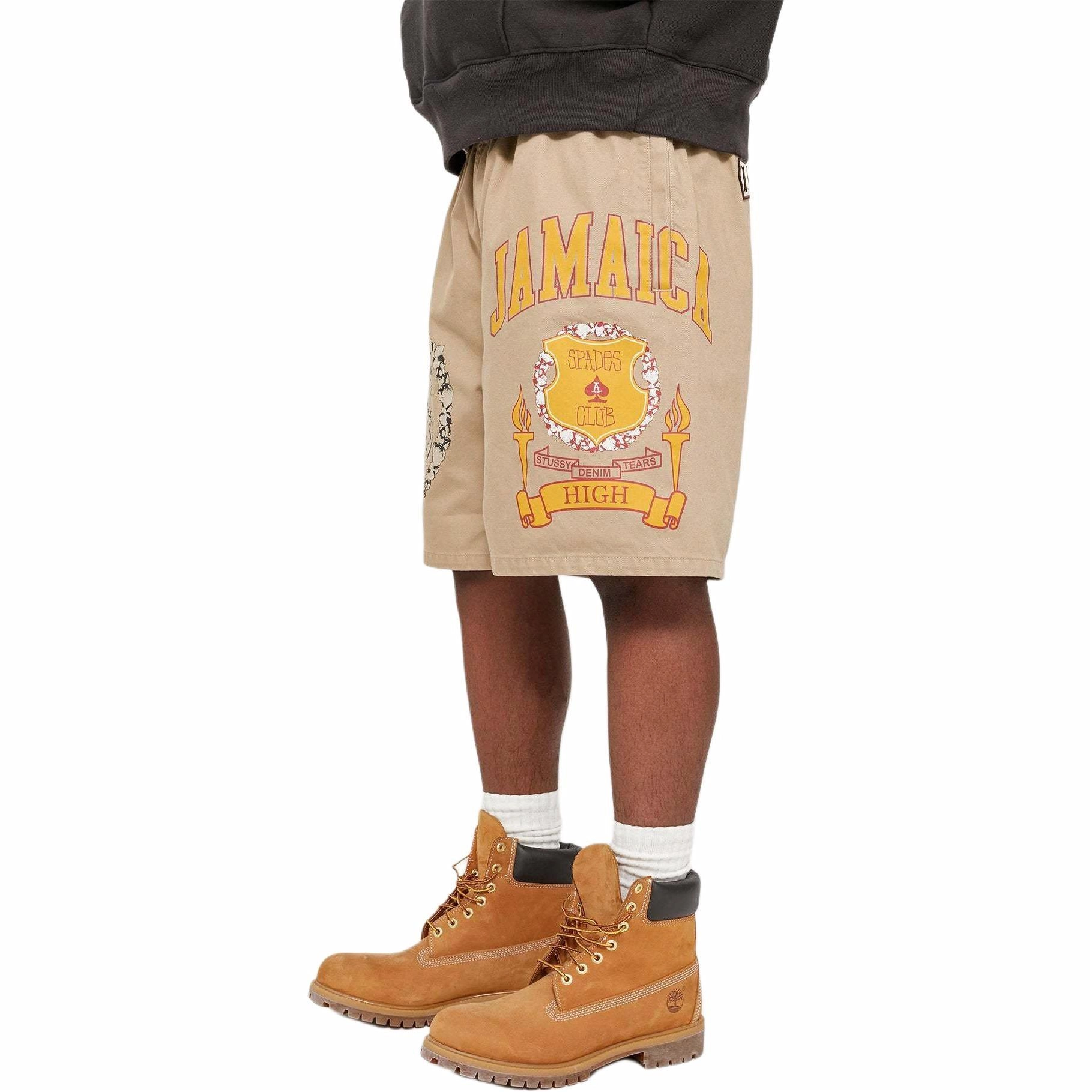 Stussy x Denim Tears SS25 logo