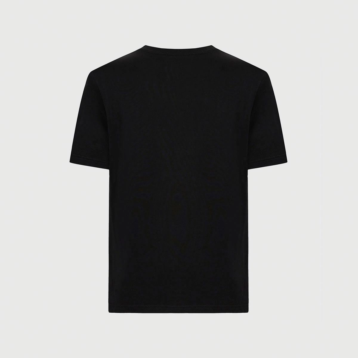 Cavalli Class T