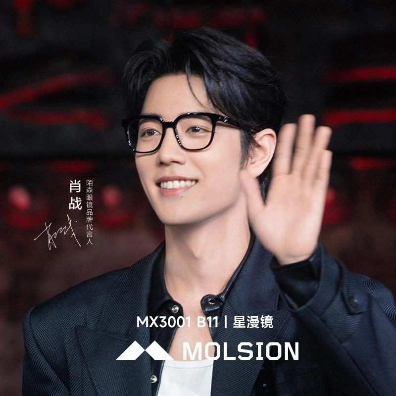 MOLSION