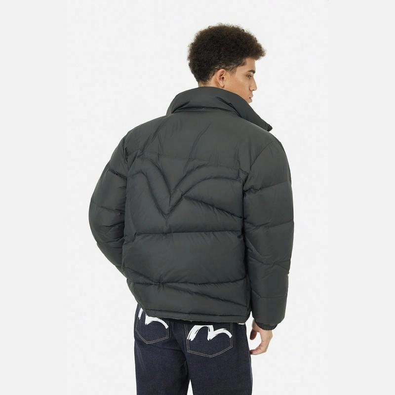 EVISU 2024