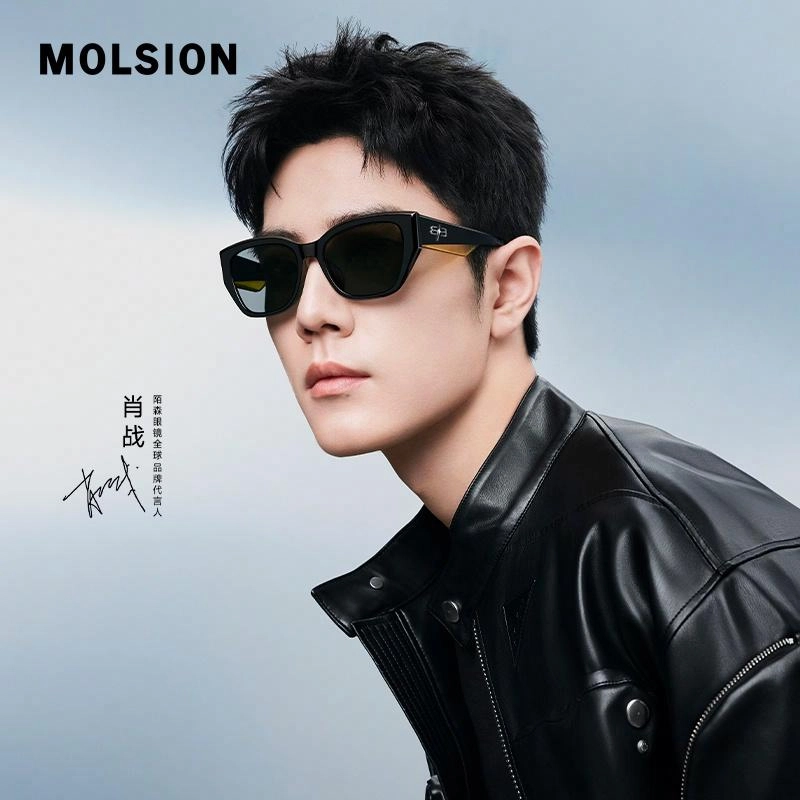MOLSION