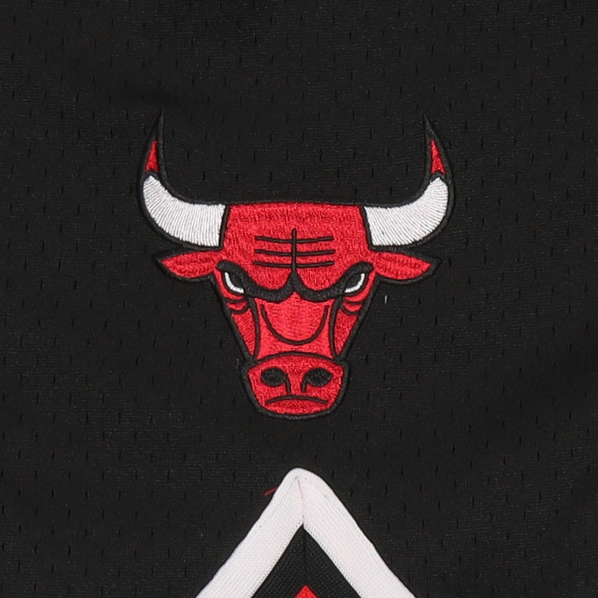 Mitchell Ness NBAAU97-98