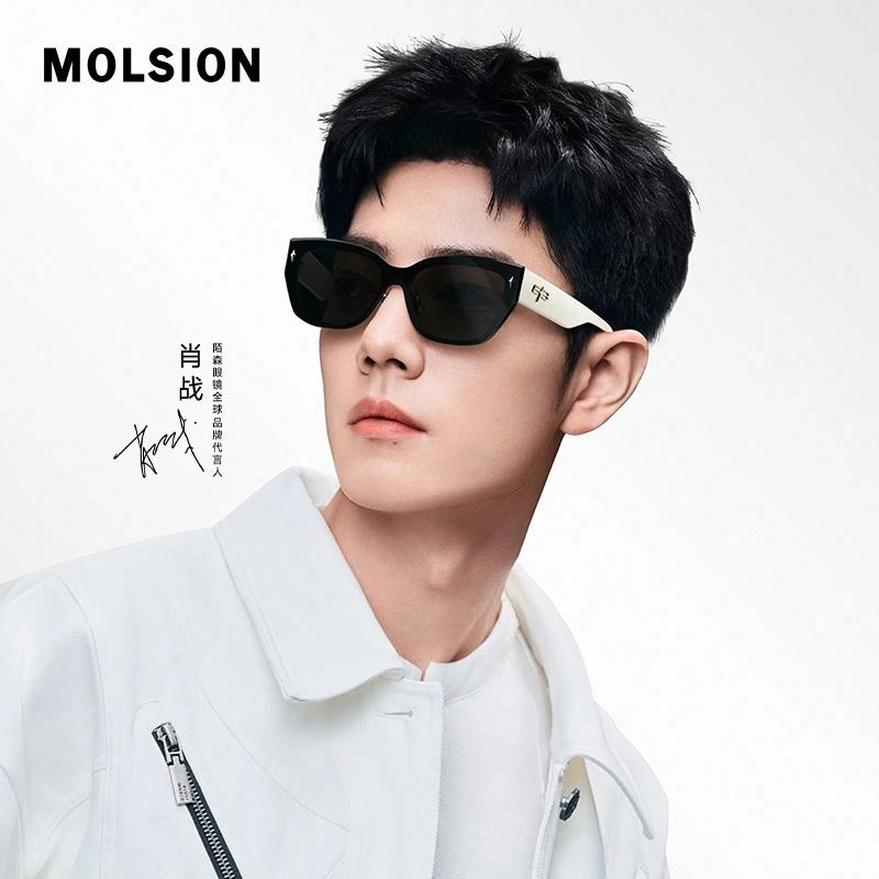 MOLSION logo TR