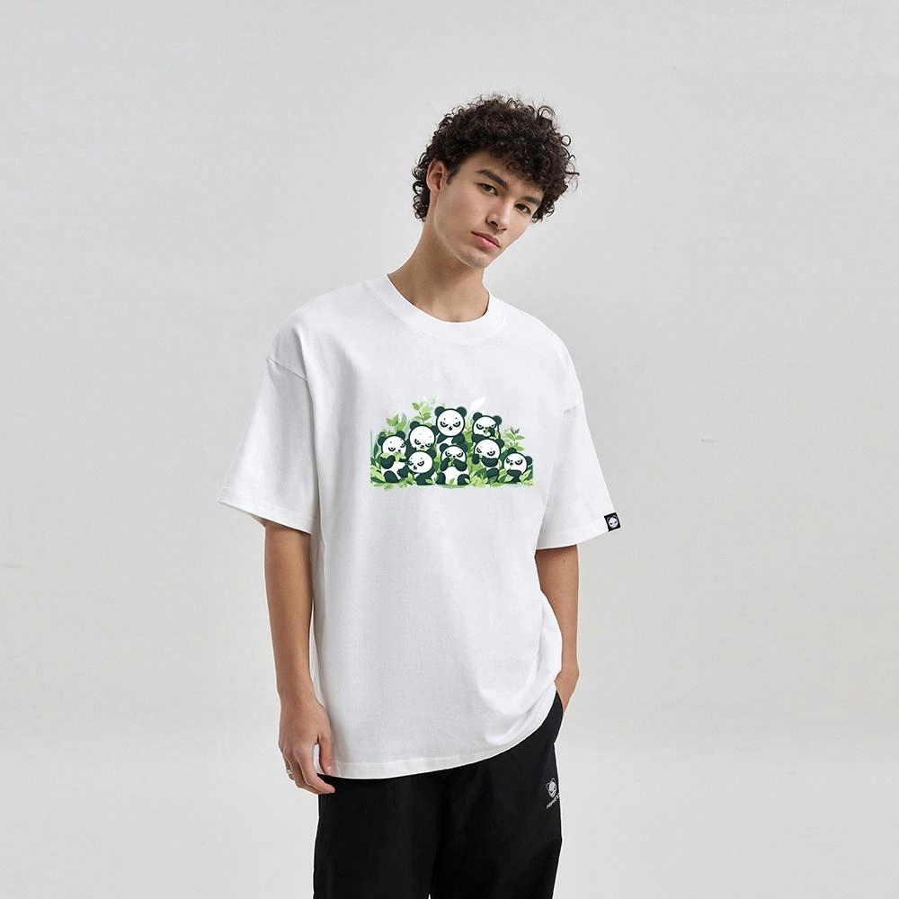 HIPANDA T