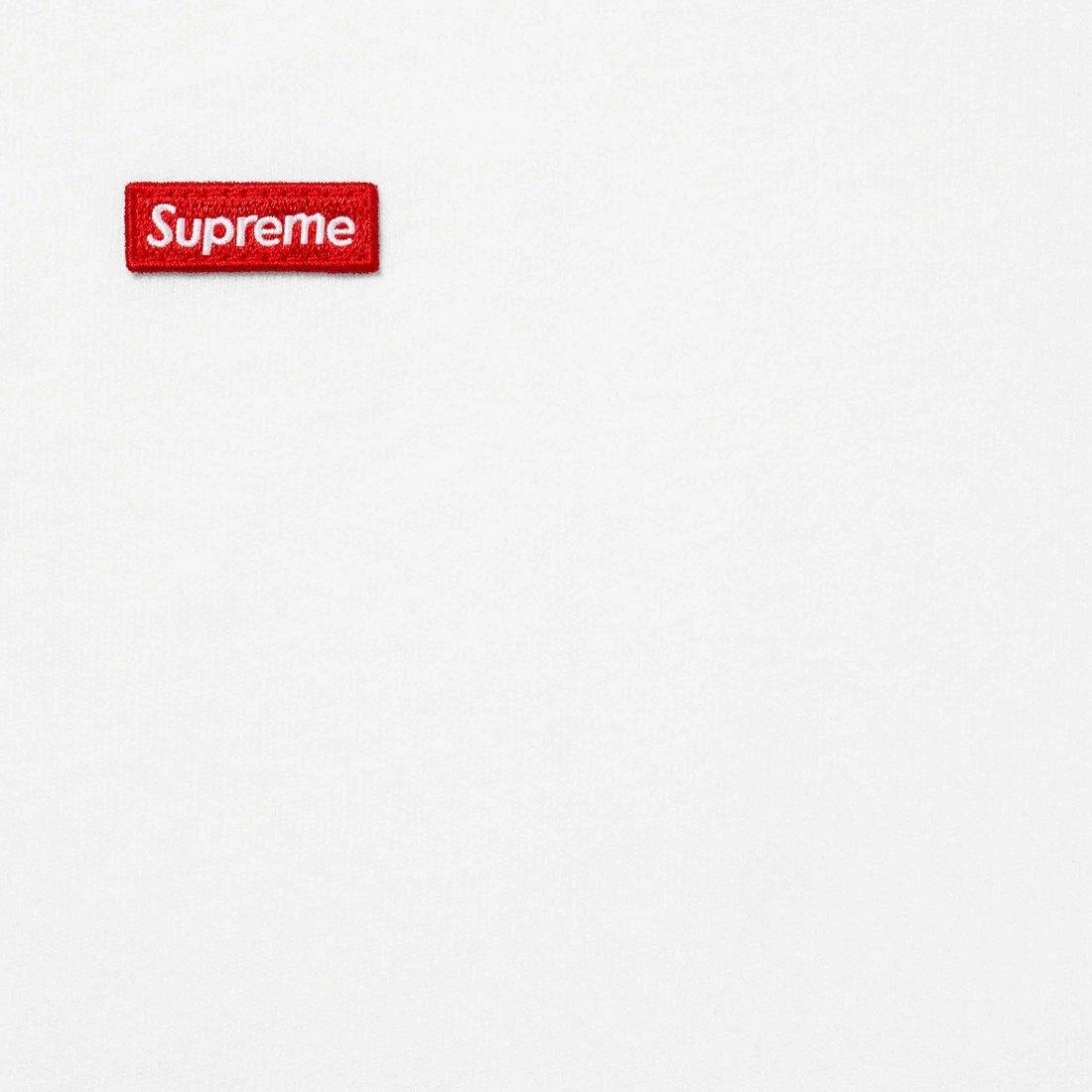 Supreme SS25 WEEK1 Small Box LS Tee logoT