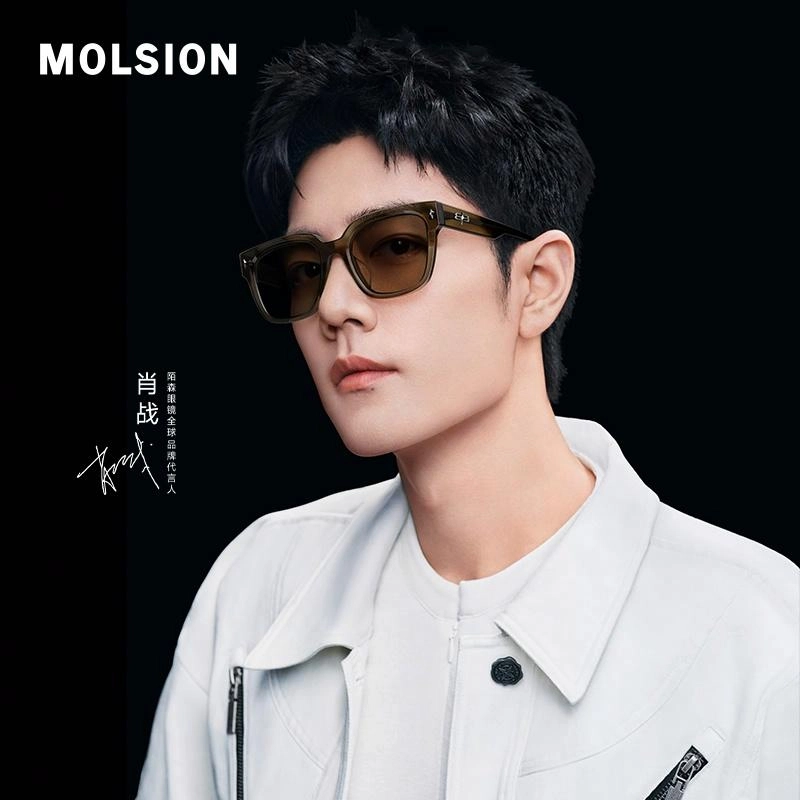 MOLSION