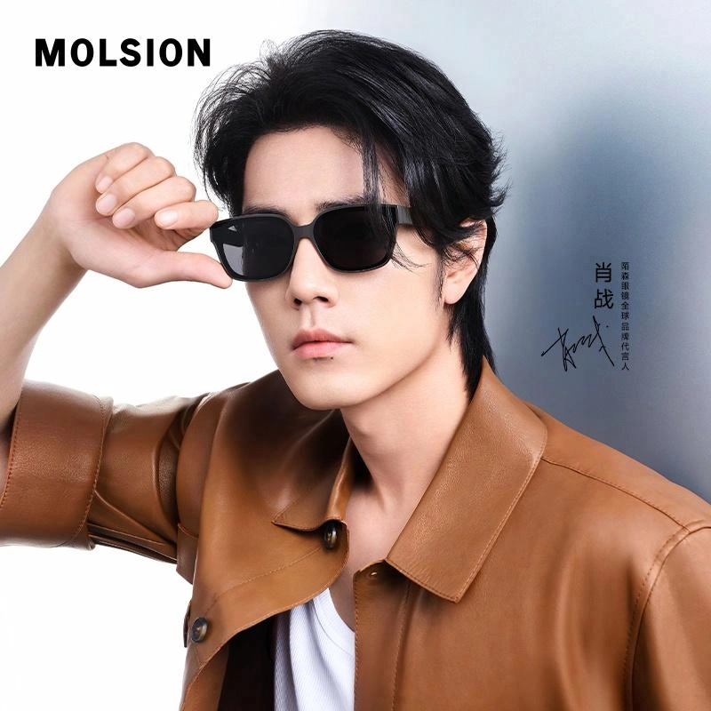 MOLSION