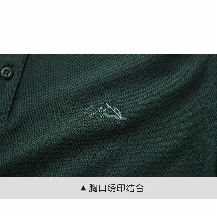 HLA POLO