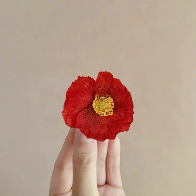 TBoML