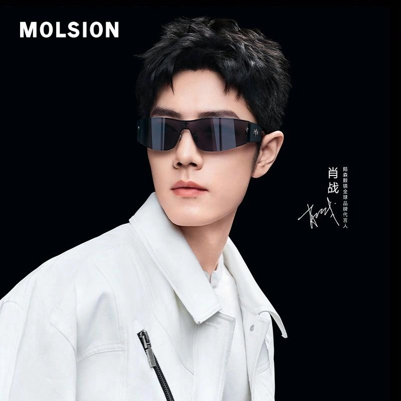 MOLSION