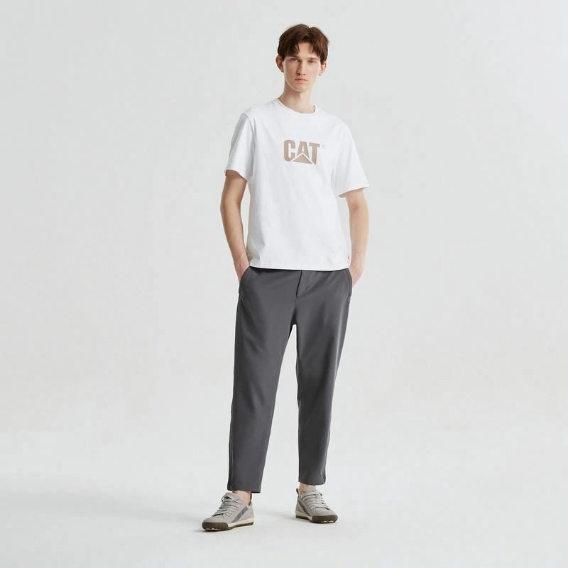 CAT SS24 logoT