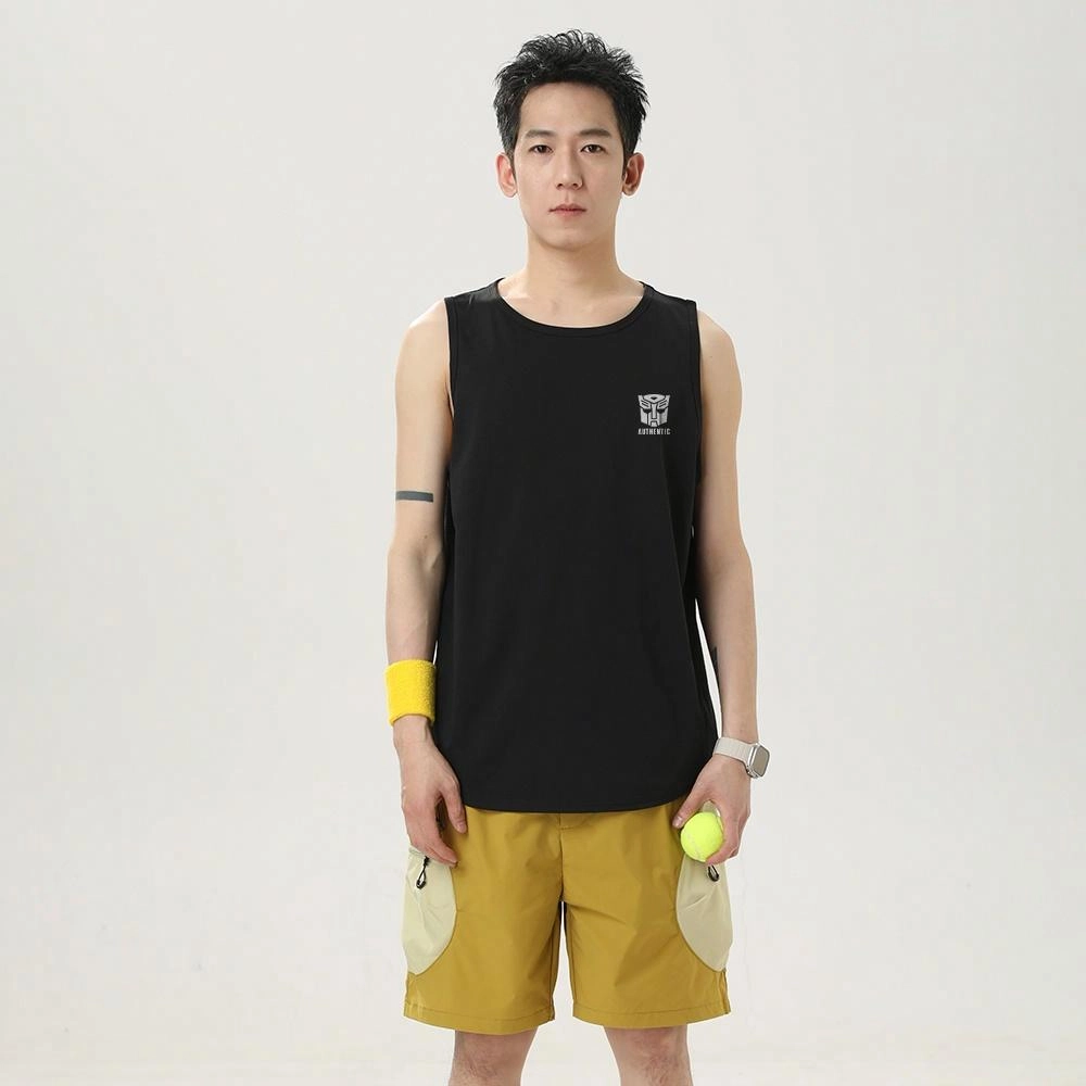 TRANSFORMERS t