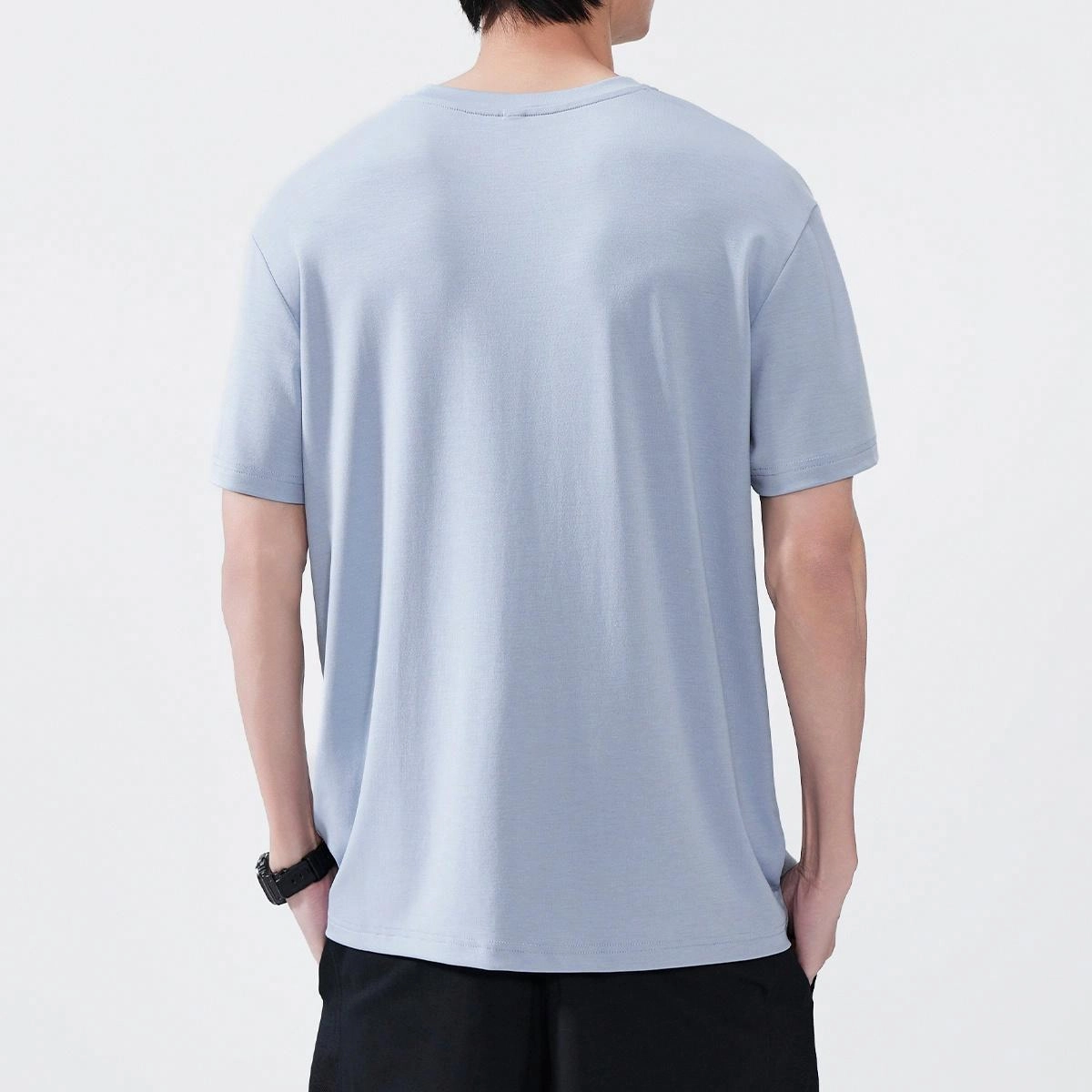 Hansca T