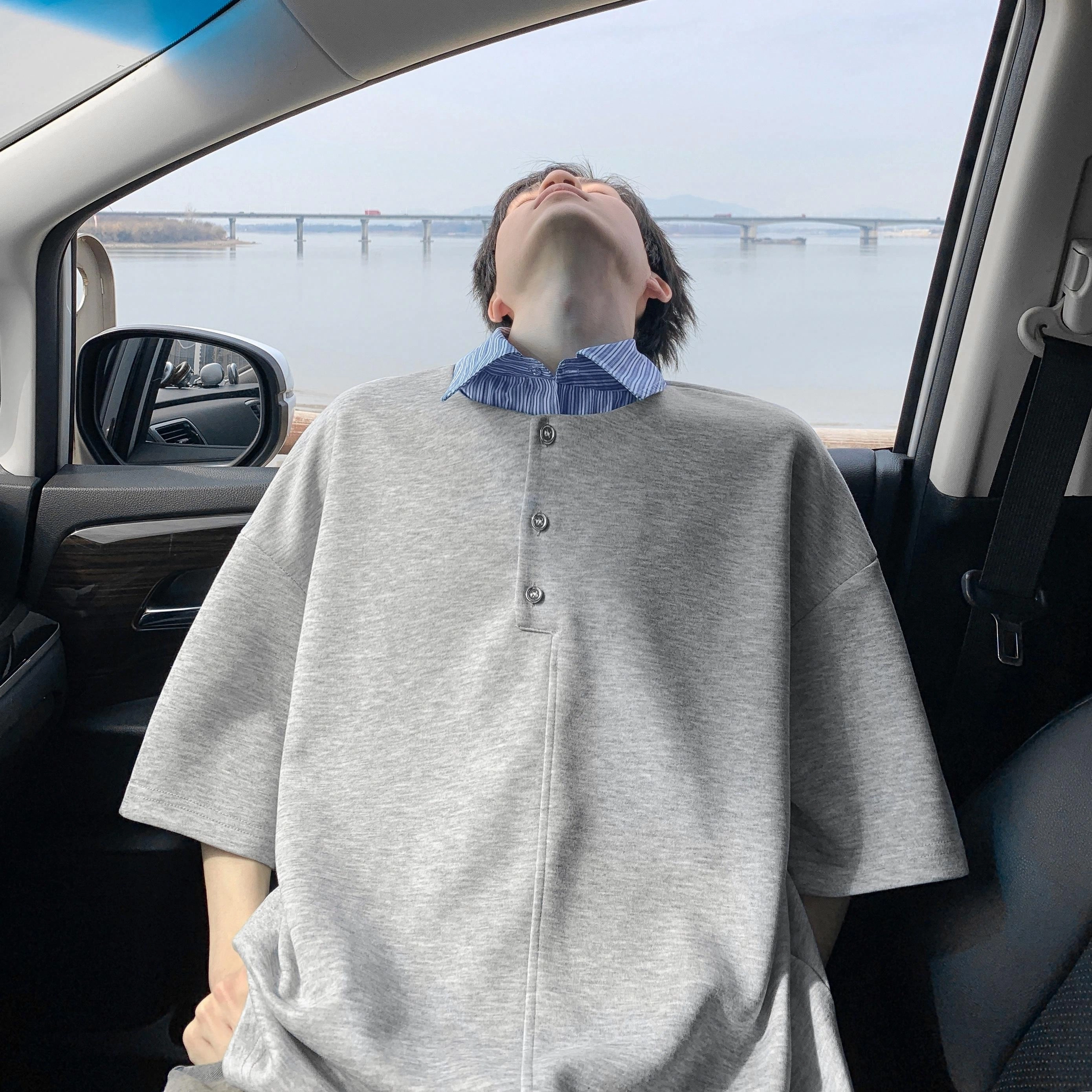 VIPGOOSE T