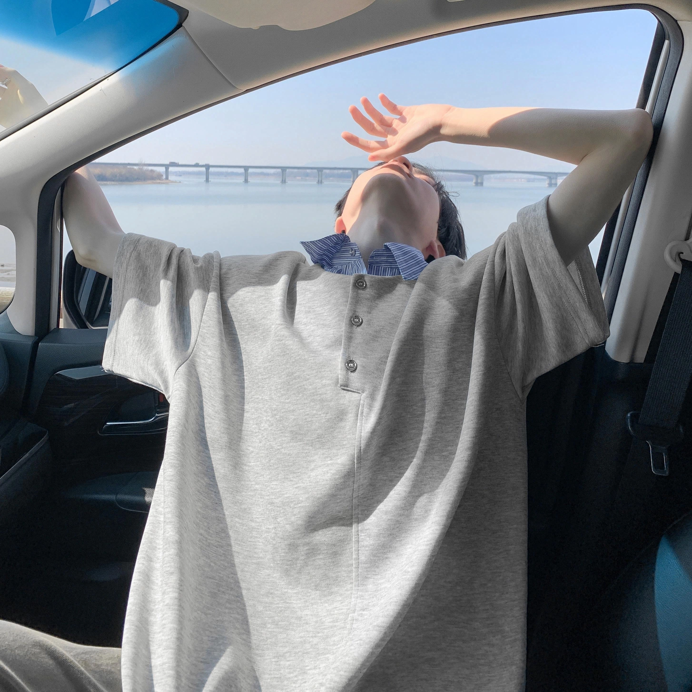 VIPGOOSE T