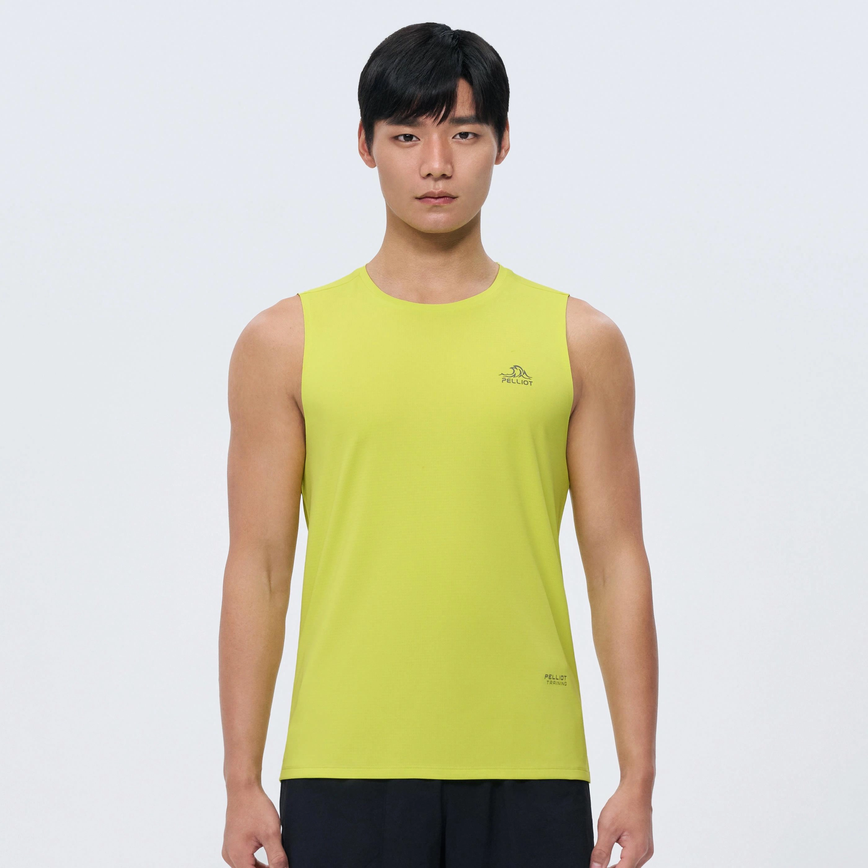 PELLIOT T