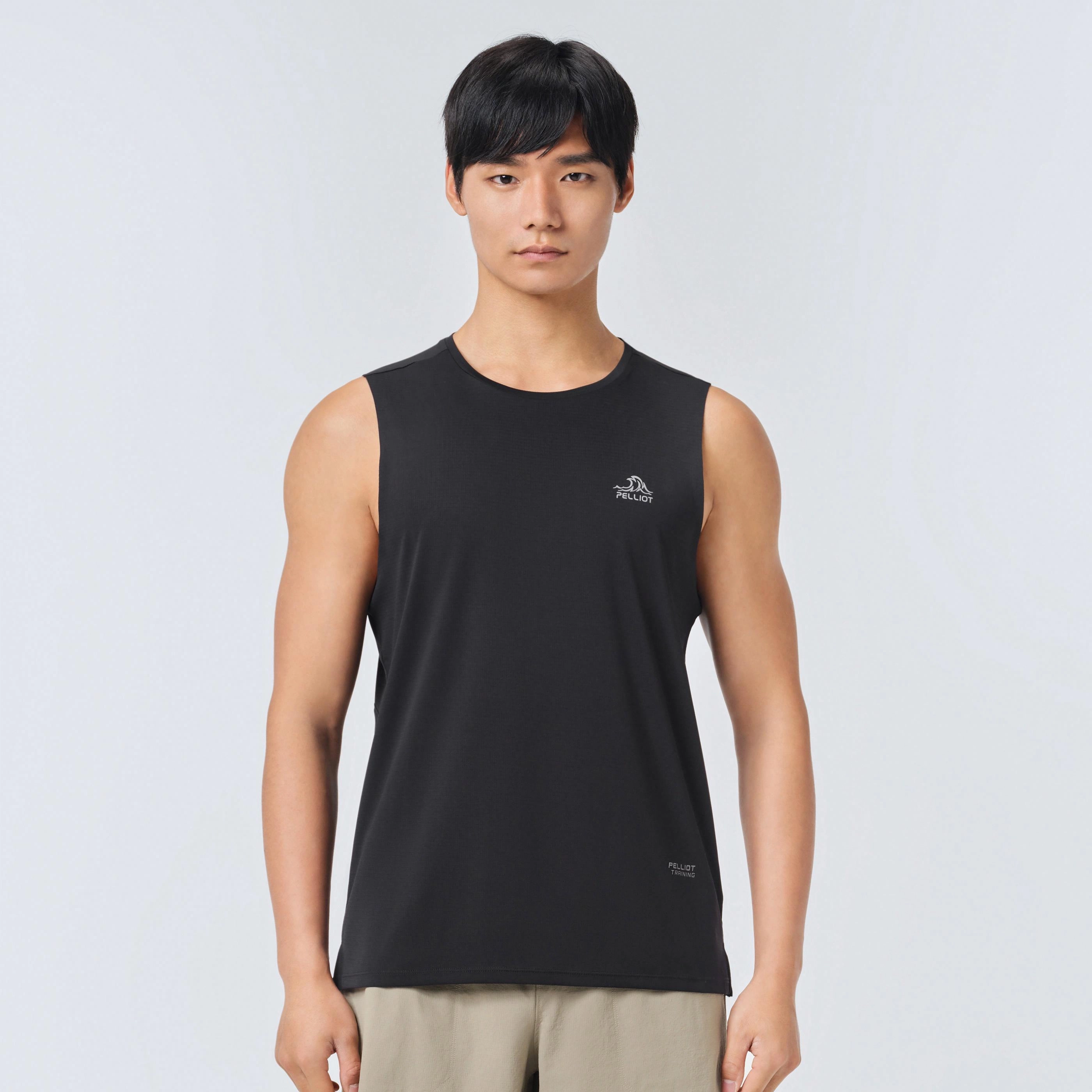 PELLIOT T