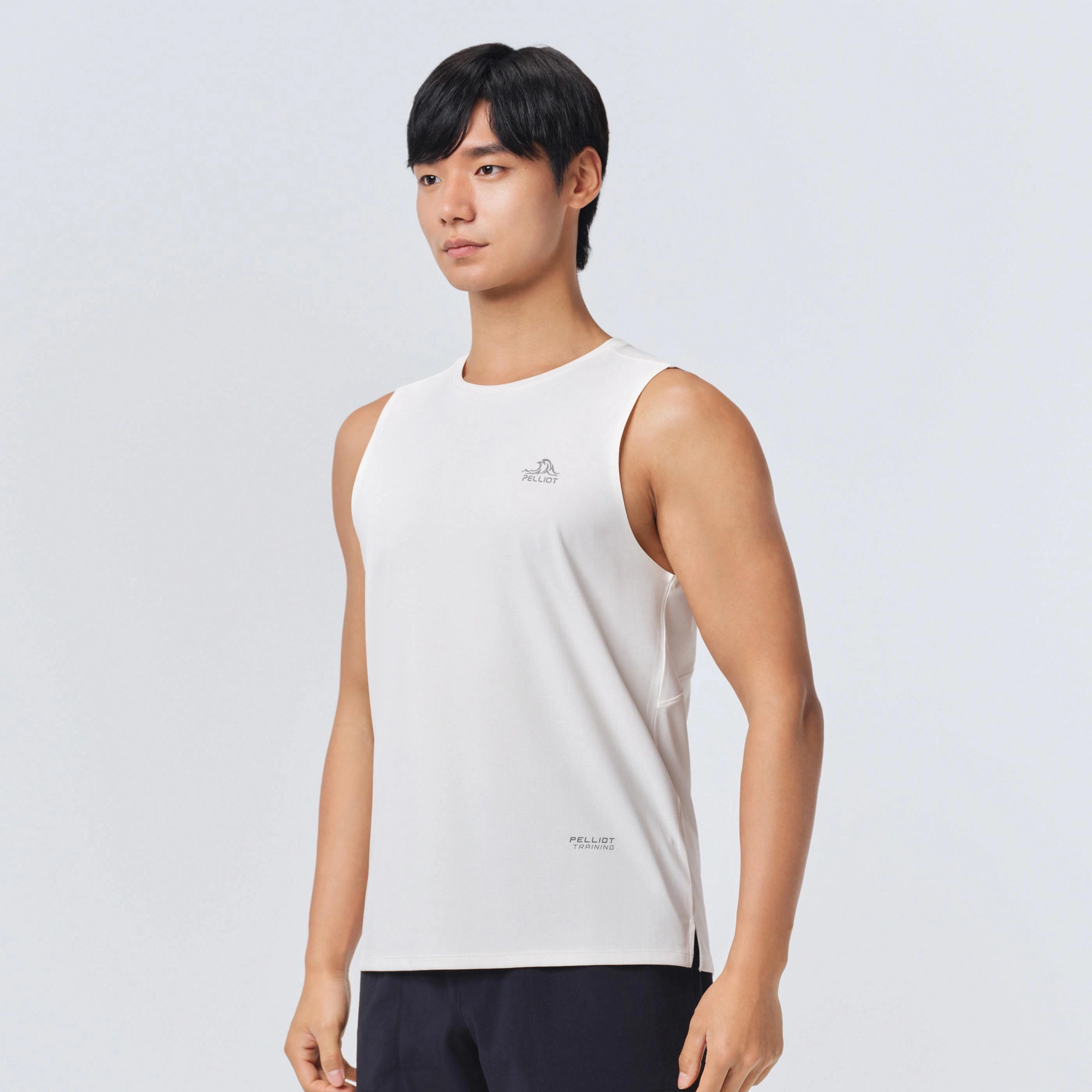 PELLIOT T