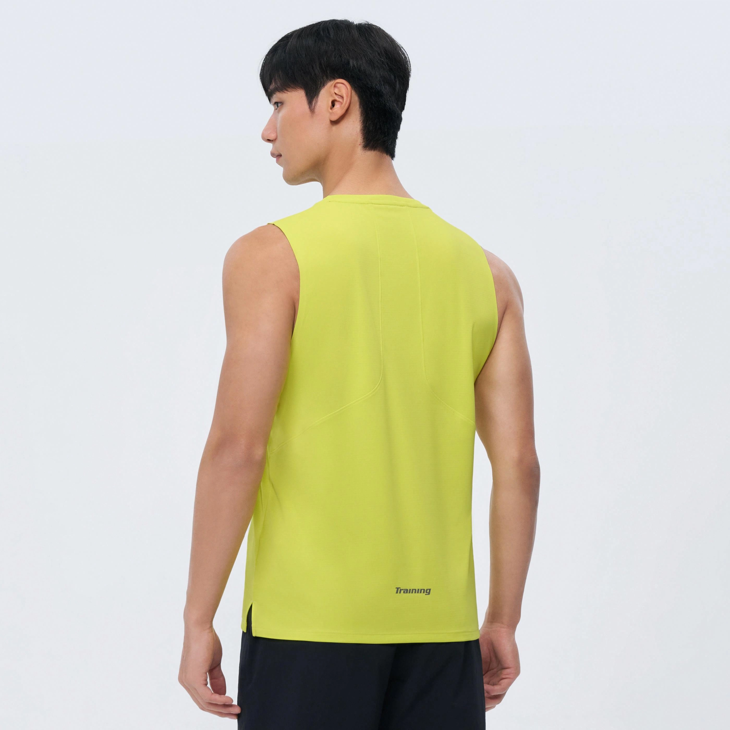 PELLIOT T