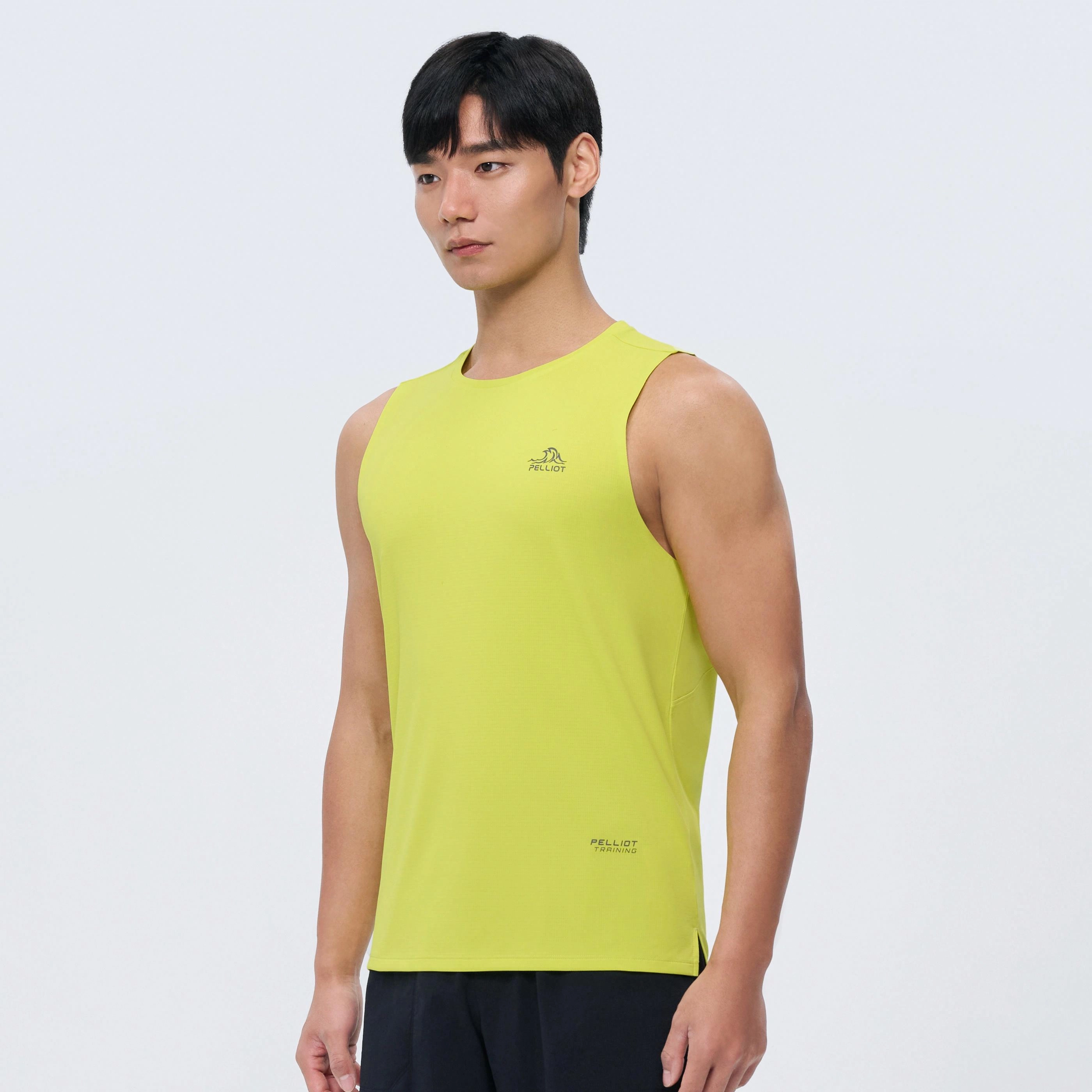 PELLIOT T