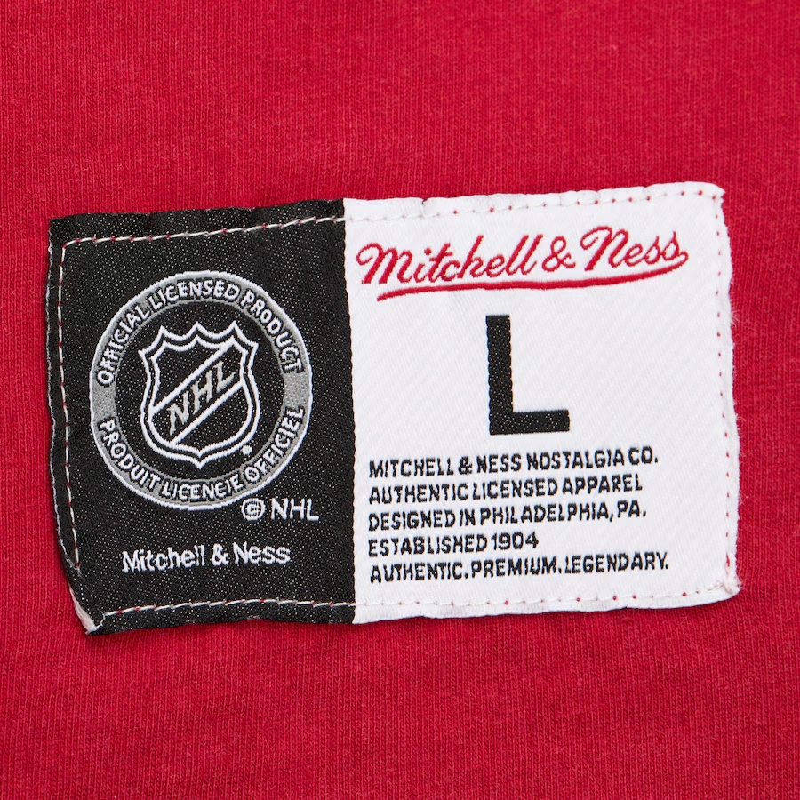 Mitchell Ness x NHL Wings Fade Away T